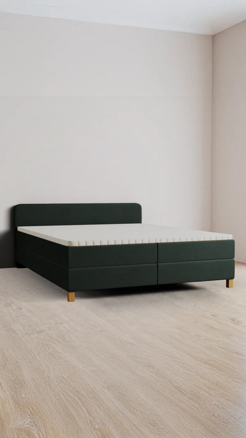 Fey Boxspring Bed
